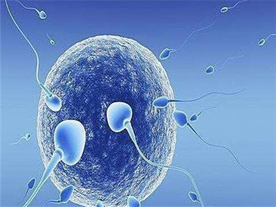 拉拉试管三代代孕机构生殖医学中心